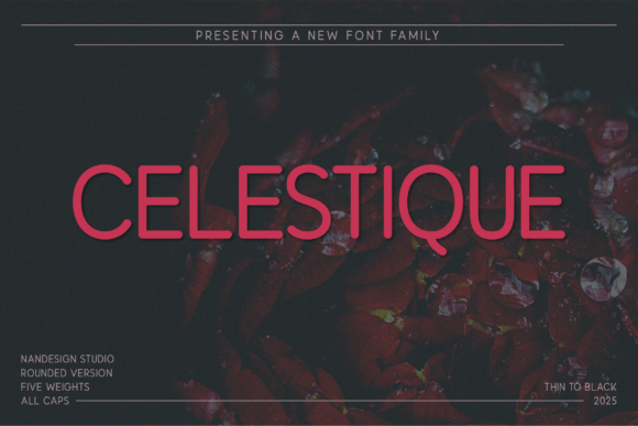 Celestique Rounded: A Modern Typeface for Bold Web Design