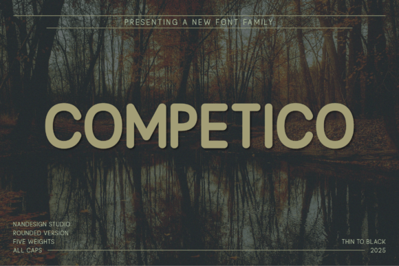 Competico Rounded: A Modern Typeface for Digital Design