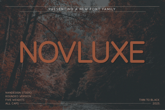 Novluxe Rounded: A Modern Font for a Stronger Brand