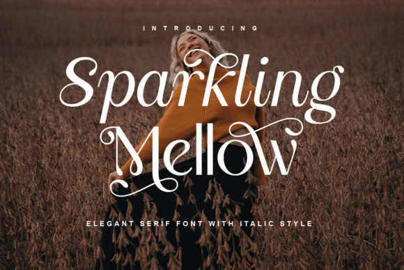 Sparkling Mellow: A Bold Serif Font for Modern Web Design